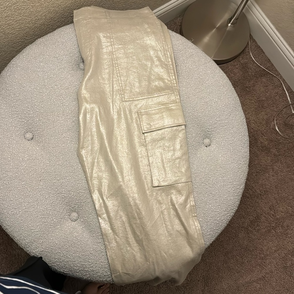 Shimmery pants very nice fit